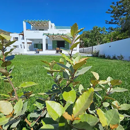 Apartmán Elaeagnus - Elaea Skyros